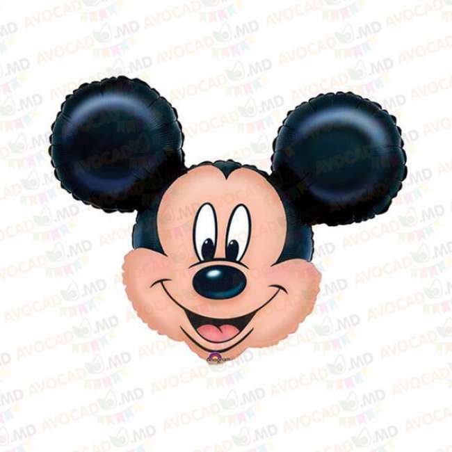 Cap Mickey Mouse