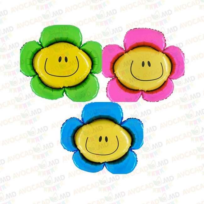 Floarea Smiley Flower 14