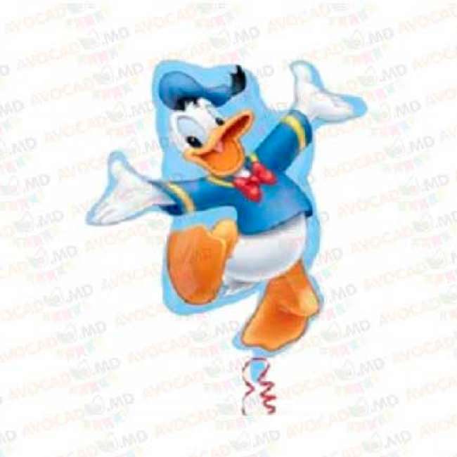 Donald Duck 69x64cm 