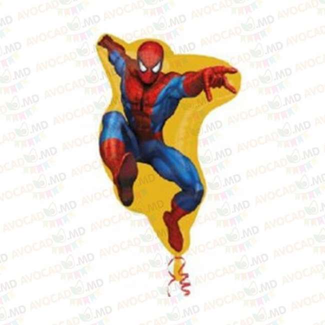 Spider-Man 67x38cm 