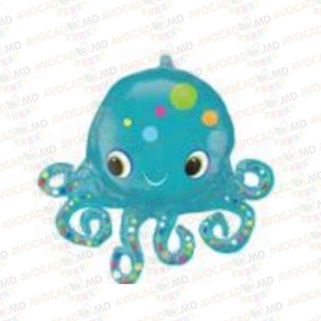 octopus 